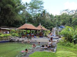 Manfaat Berendam Air Panas Belerang Di Wisata Eka Tirta Tabanan