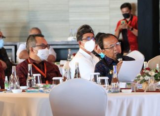 Gubernur Bali Minta Pusat Keluarkan Kebijakan Spesifik Upaya Pemulihan Ekonomi Bali