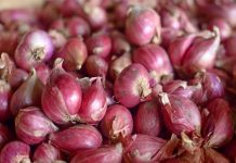 Provinsi Bali Alami Deflasi pada Bulan Mei 2021