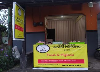 BOCHI Supplier Ayam Potong, Kini Hadir di Kabupaten Tabanan