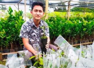 Biar Tidak Punah, Pemerintah Sarankan Hidupkan Petani Muda