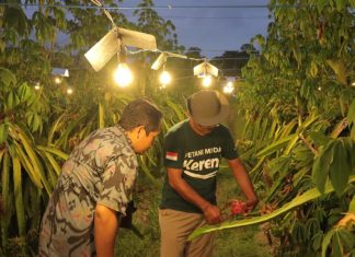 Menginspirasi saat Pandemi, PLN Beri Penghargaan Wirausaha Tangguh 2021