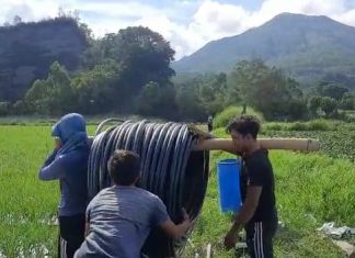 Dukung Bali Bangkit Melalui Pertanian, PLN gencarkan Electrifying Agriculture