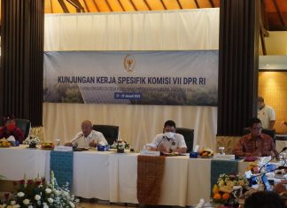 Bangun Bali Berbasis Energi Hijau, PLN Dukung Percepatan Pengoperasian PLTS Kubu Karangasem