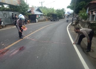 Kecelakaan di KM 32.800 Singaraja-Amlapura Hilangkan Nyawa