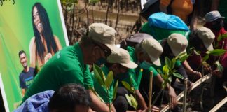 HPN 2022 – KTT G20, Atnews Lestarikan Mangrove Tahura Ngurah Rai secara Berkelanjutan