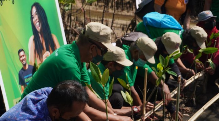 HPN 2022 – KTT G20, Atnews Lestarikan Mangrove Tahura Ngurah Rai secara Berkelanjutan