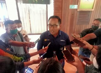 PLN UID Bali Tegaskan Bukan Pihaknya yang Memadamkan Listrik saat Nyepi