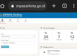 Upaya Tumbuhkan Perekonomian Kota Denpasar, Luncurkan SIPAPA hingga Cari Terobosan Sumber Baru