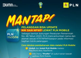 Perbaharui Data NIK dan NPWP Pelanggan Kini Bisa Lewat PLN Mobile, Ini Caranya!