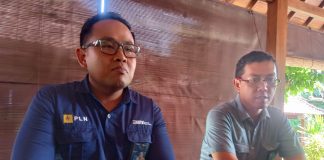 Gangguan Akibat Layang-Layang Turun, PLN Apresiasi Kepedulian Masyarakat