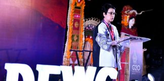 Kisah Nusa Dua, Chair DEWG G20: Cermin Pembangunan Berkelanjutan dan Kolaborasi