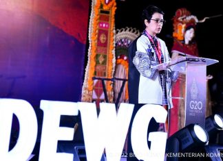 Kisah Nusa Dua, Chair DEWG G20: Cermin Pembangunan Berkelanjutan dan Kolaborasi