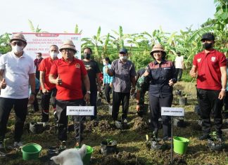 Kendalikan Inflasi Pangan, Bank Indonesia Provinsi Bali Bersinergi dengan Pemerintah Kota Denpasar
