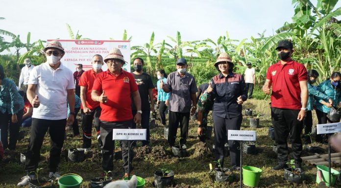 Kendalikan Inflasi Pangan, Bank Indonesia Provinsi Bali Bersinergi dengan Pemerintah Kota Denpasar