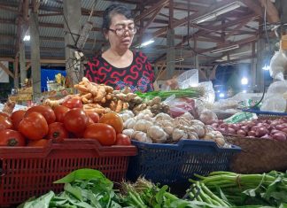 Pasokan Hortikultura Terjaga Dorong Deflasi di Provinsi Bali