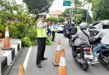 Pohon Tumbang di Jalur Bandara, Personil Polres Bandara Atensi Pengaturan Lalin