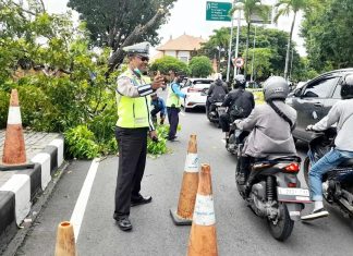 Pohon Tumbang di Jalur Bandara, Personil Polres Bandara Atensi Pengaturan Lalin