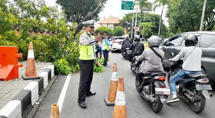 Pohon Tumbang di Jalur Bandara, Personil Polres Bandara Atensi Pengaturan Lalin