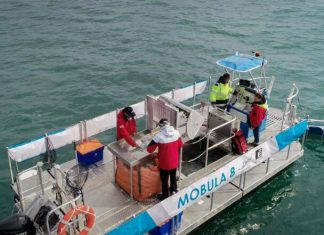 Mobula 8 Hadir Atasi Sampah Laut Bali