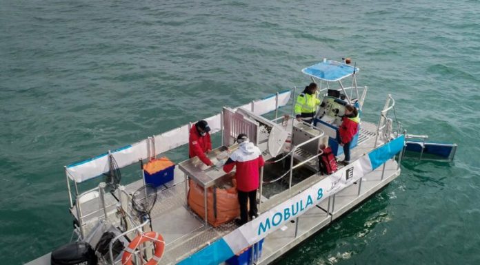 Mobula 8 Hadir Atasi Sampah Laut Bali