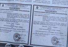 Majelis Hakim di PN Denpasar Diduga “Permainkan” Perkara Mirip “Sidang Kanguru”