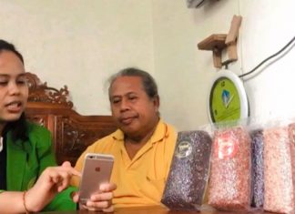 Peningkatan UMKM Beras Merah di Desa Sading, Ini yang dilakukan Ida Ayu Tuti Peserta KKN Tematik FH Unmas Denpasar