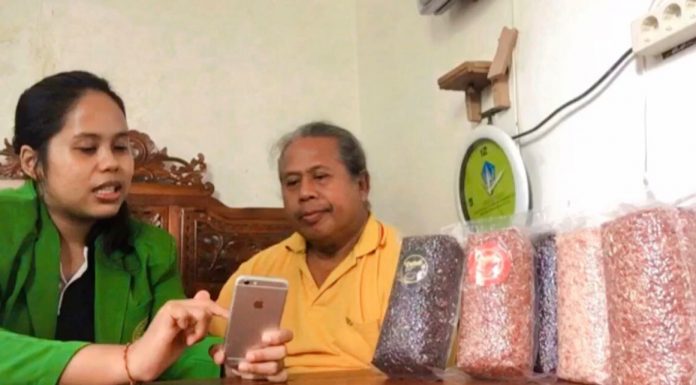 Peningkatan UMKM Beras Merah di Desa Sading, Ini yang dilakukan Ida Ayu Tuti Peserta KKN Tematik FH Unmas Denpasar