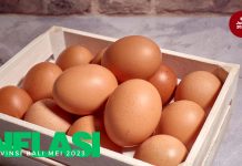 Tekanan Inflasi Bali pada bulan Mei 2023 tetap Terjaga