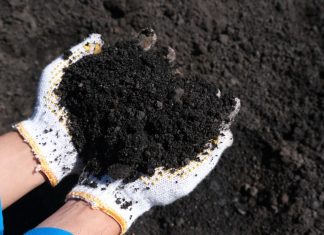 Semester I 2023, PLN Berhasil Kelola FABA Hingga 1,45 Juta Ton