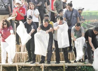 Sinergi Pengendalian Inflasi: Bank Indonesia Dukung Gerakan Tanam Cabai Di Lahan Tidur Kabupaten Buleleng