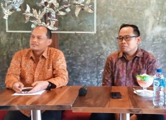 Nyepi 2024, PLN Pastikan Suplai Listrik di Bali Tetap Aman