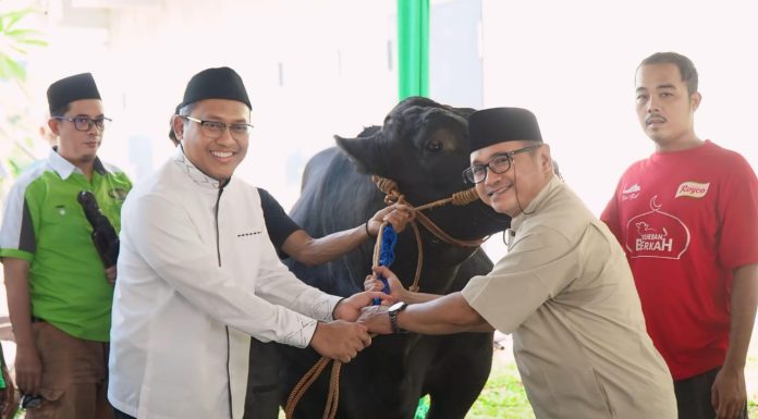 Salurkan 822 Ekor Hewan Kurban, PT Pegadaian Semarakkan Idul Adha 1445 Hijriah