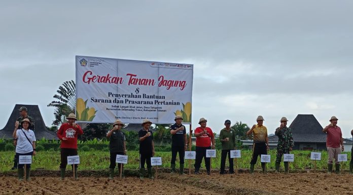 Tingkatkan Produktivitas Petani, Bank Indonesia Dukung Gerakan Tanam Jagung