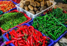 Survei Bank Indonesia: Penjualan Eceran Bali terus Tumbuh