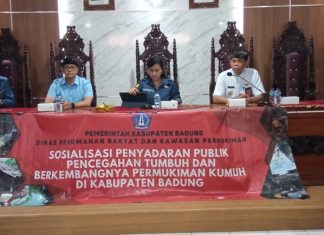 Cegah Tumbuh dan Berkembangnya Kawasan Kumuh di Canggu, Simak Pemaparan Dosen Fakultas Teknik Unmas Denpasar
