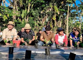 Kendalikan Inflasi Pangan, Bank Indonesia dukung Genta Paten Cabai