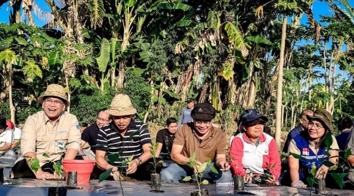 Kendalikan Inflasi Pangan, Bank Indonesia dukung Genta Paten Cabai