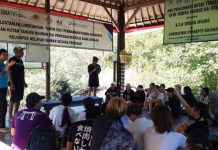 Peduli Pesisir, FBA Unmas Denpasar Gandeng Kumamoto Gakuen University Jepang Tanam Pohon Mangrove