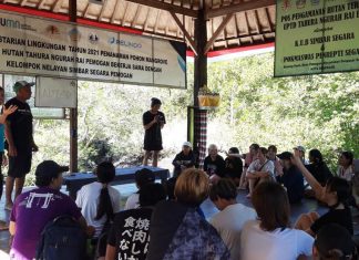 Peduli Pesisir, FBA Unmas Denpasar Gandeng Kumamoto Gakuen University Jepang Tanam Pohon Mangrove