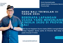Beberapa Lapangan Usaha yang Menunjang Kinerja SKDU di Provinsi Bali
