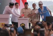Gebrakan 100 Hari, Presiden Prabowo Resmikan 37 Proyek Ketenagalistrikan Nasional