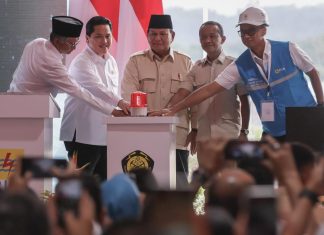 Gebrakan 100 Hari, Presiden Prabowo Resmikan 37 Proyek Ketenagalistrikan Nasional