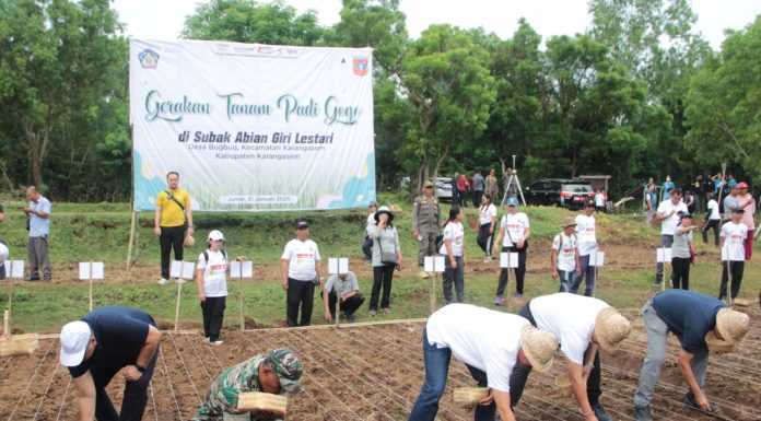 Bank Indonesia Dukung Gertam Padi Gogo di Bali