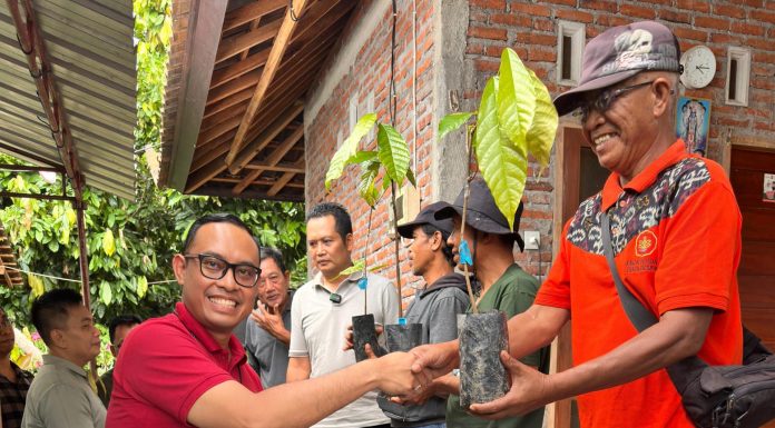 Dorong Pengembangan Ekonomi Daerah, OJK Bali dan Pemda Jembrana Serahkan Bibit dan Pupuk Organik bagi Petani Kakao