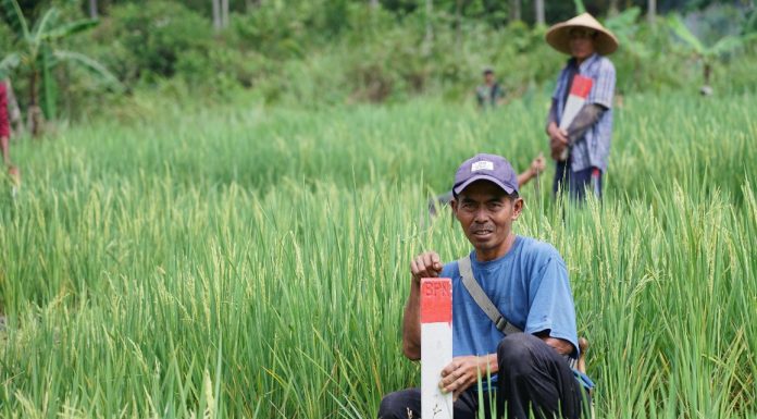 GEMAPATAS Akan Dicanangkan Serentak di 23 Kabupaten/Kota, Kepala Biro Humas dan Protokol: Dipimpin Langsung oleh Menteri Nusron