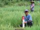 GEMAPATAS Akan Dicanangkan Serentak di 23 Kabupaten/Kota, Kepala Biro Humas dan Protokol: Dipimpin Langsung oleh Menteri Nusron