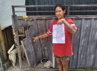 Buntut Perusakan, Eva Lapor Polisi, Begini Tanggapan Perbekel Beringkit Belayu
