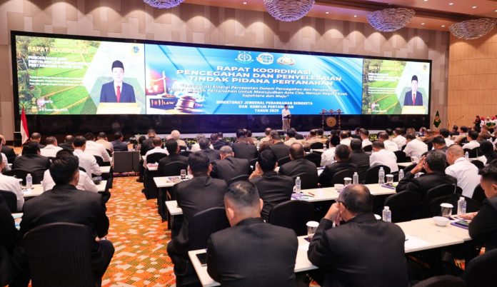 WhatsApp Image 2025-12-03 at 16.41.15