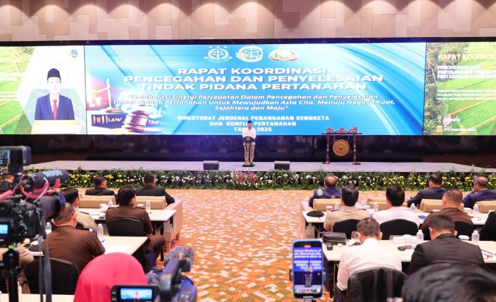 WhatsApp Image 2025-12-04 at 07.11.32